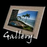 Ga;llery Site
